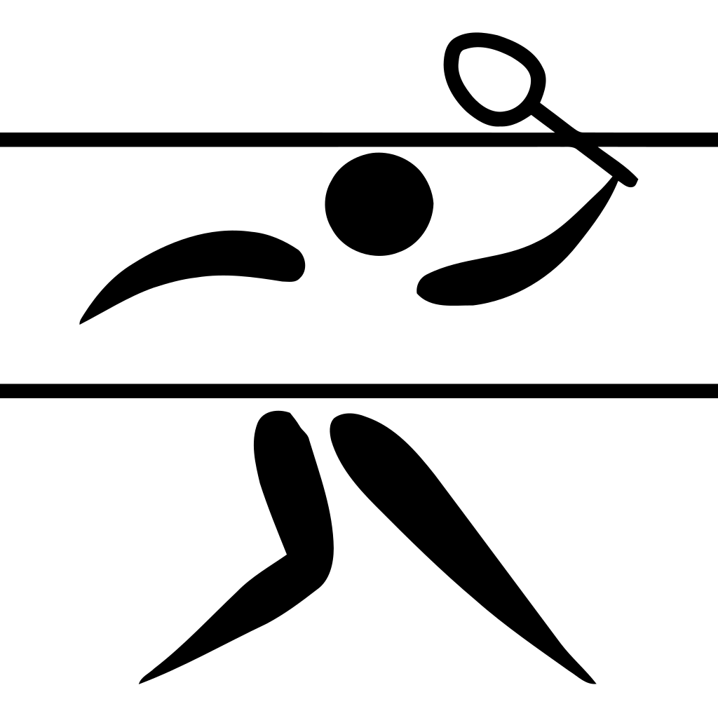 羽毛球(5)