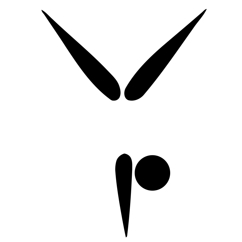 競技體操(14)